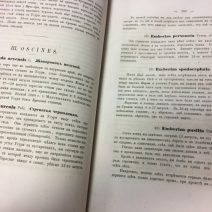 «Путешествие в долину реки Усури». Маак Р. К. Санкт-Петербургъ 1861 г.