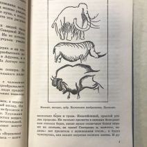 Библиотечка пионера «Знай и умей». Твоя палитра. Каменева Е. Москва 1977 г.