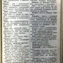 Полный толковый словарь. 19-е издание. Дубровский Н. Москва 1907 г.