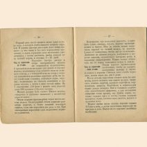 Свиноводство в Дальневосточном крае. Чубинский-Надеждин В. В. Хабаровск-Владивосток 1928 г.