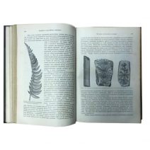 История земли. 2 тома. Неймар М. Тип. «Просвещение». СПб, 1904 г.