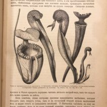 Жизнь Растений, 2 тома. А. И. Кернер. СПб, Просвещение 1896/1902 г.