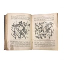Жизнь Растений, 2 тома. А. И. Кернер. СПб, Просвещение 1896/1902 г.