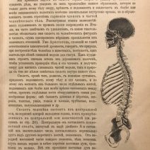 «Человек». 2 тома. Ранке И. Изд. Товарищества «ПросвещениЯ». СПб 1901 г.