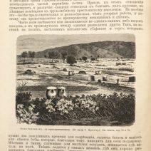 Народоведение. 2 тома (1901/1903 гг.) Фридрих Ратцель. Изд. «Просвещение»