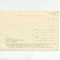 Площадь Спортивной гавани. Владивосток 1961 г.