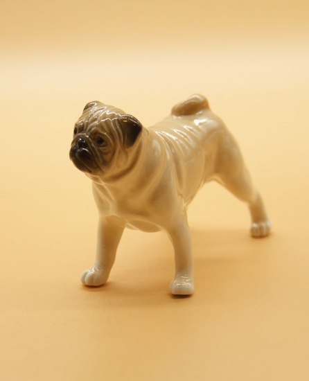 f_catalog_content_5282_2 Собака Мопс. Сциталис. Астрахань