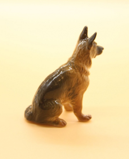 f_catalog_content_5287_2 Собака Немецкая овчарка. Сциталис. Астрахань