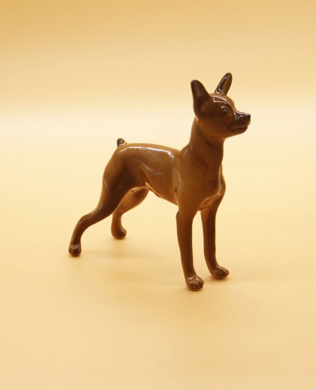 f_catalog_content_5303_2 Собака Той-терьер стоящий. Сциталис. Астрахань