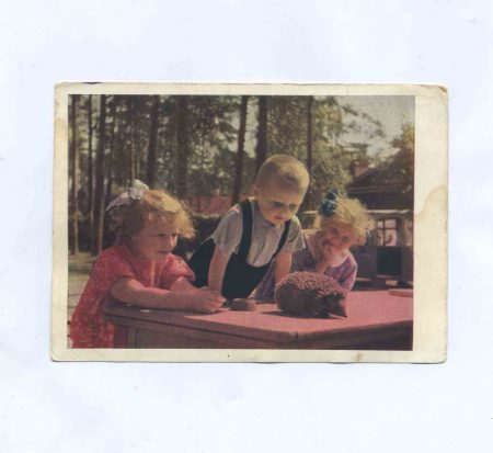 Юные натуралисты. Изд. Мин. связи СССР 1962 г.