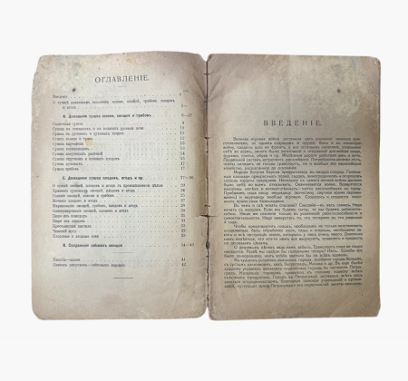 д 2527 (4) Заготовка впрок домашним способом овощей, плодов, ягод и грибов. Сушка, соление, маринование и проч. С 17 рис. Петроград 1918 г.