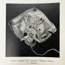 "Всемирная Иллюстрация" 1896 г. № 1413. Том LV, № 9. Начинается со стр. 222-246. Санкт-Петербург 1896 г.