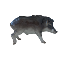 Кабан-секач. Ленинградский ФЗ. Автор Ризнич И.И.