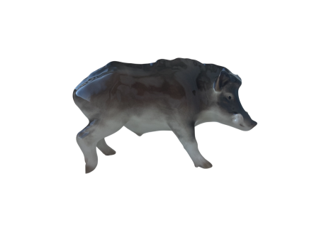 Кабан-секач. Ленинградский ФЗ. Автор Ризнич И.И.