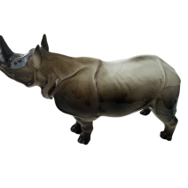 Носорог.  Ленинградский ФЗ. Автор Ризнич И.И.