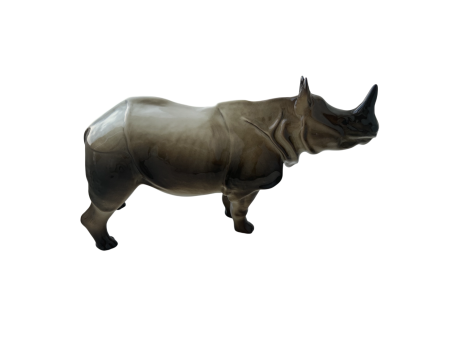 Носорог.  Ленинградский ФЗ. Автор Ризнич И.И.