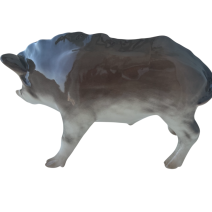 Кабан-секач. Ленинградский ФЗ. Автор Ризнич И.И.