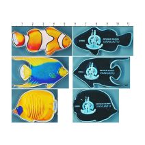 Вануату. Набор 3 монеты 50 вату 2006 г. Тропические рыбы. Серебро 999 пр, цветная эмаль. Вес 93,3 г. Пруф. Акриловый аквариум