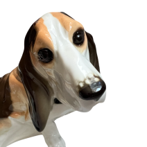 Собака Бассет. ЛФЗ.