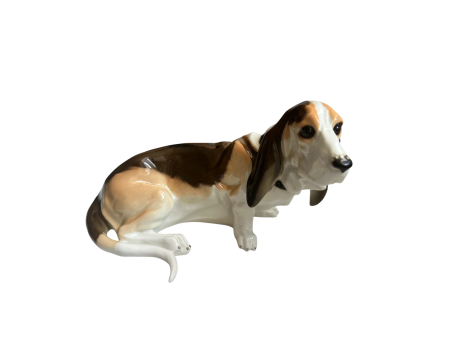 Собака Бассет. ЛФЗ.