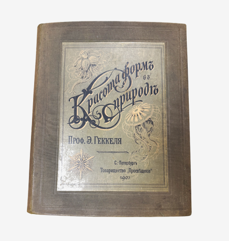 Красота форм природы. Проф. Эрнст Геккель. Изд. СПб, Книгоиздательское товарищество "Просвещение" 1904 г. 