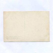 Открытка "Великая Княгиня Ольга Александровна. Чайный стол. 1929 г." Alex. Vincents Kunstforlag. Российская Империя до 1917 г.