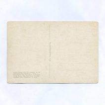 Открытка "Великая Княгиня Ольга Александровна. В саду". Alex. Vincents Kunstforlag. Российская Империя до 1917 г.