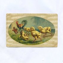 Открытка пасхальная "Цыплята и петух". Российская Империя до 1917 г.