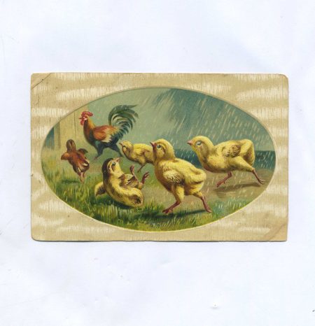 Открытка пасхальная "Цыплята и петух". Российская Империя до 1917 г.