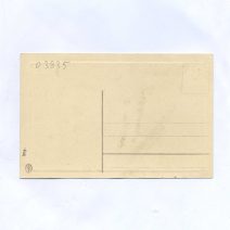 Открытка пасхальная "Теннис с цыплятами". Изд. "Imp." Германия 1900-е гг.