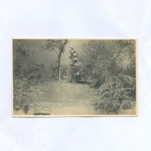 Владивосток. Океанская. Без издания. Российская Империя до 1917 г.